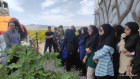 بازدید دانشجویان پردیس کشاورزی از باغات و مجتمع بارگاه های زرشک در منطقه گازار مهموئی آرین شهر