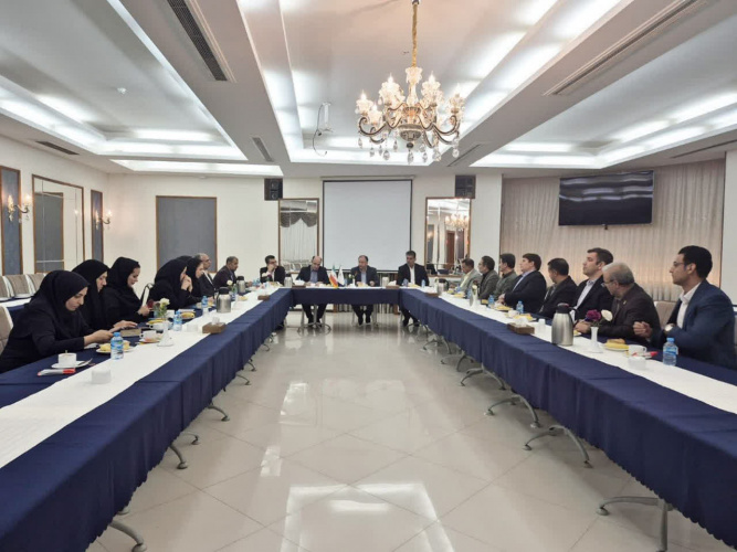 نشست شورای پژوهش اداره کل ورزش و جوانان خراسان جنوبی